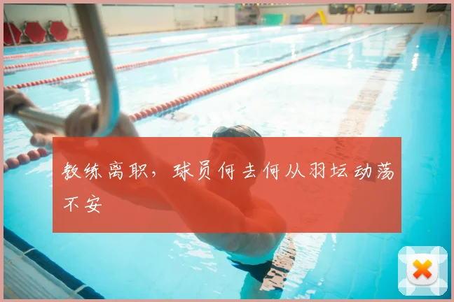 教练离职,球员何去何从羽坛动荡不安