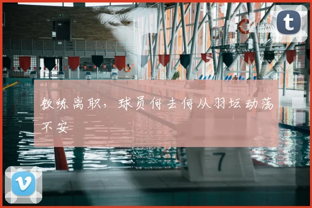 教练离职,球员何去何从羽坛动荡不安